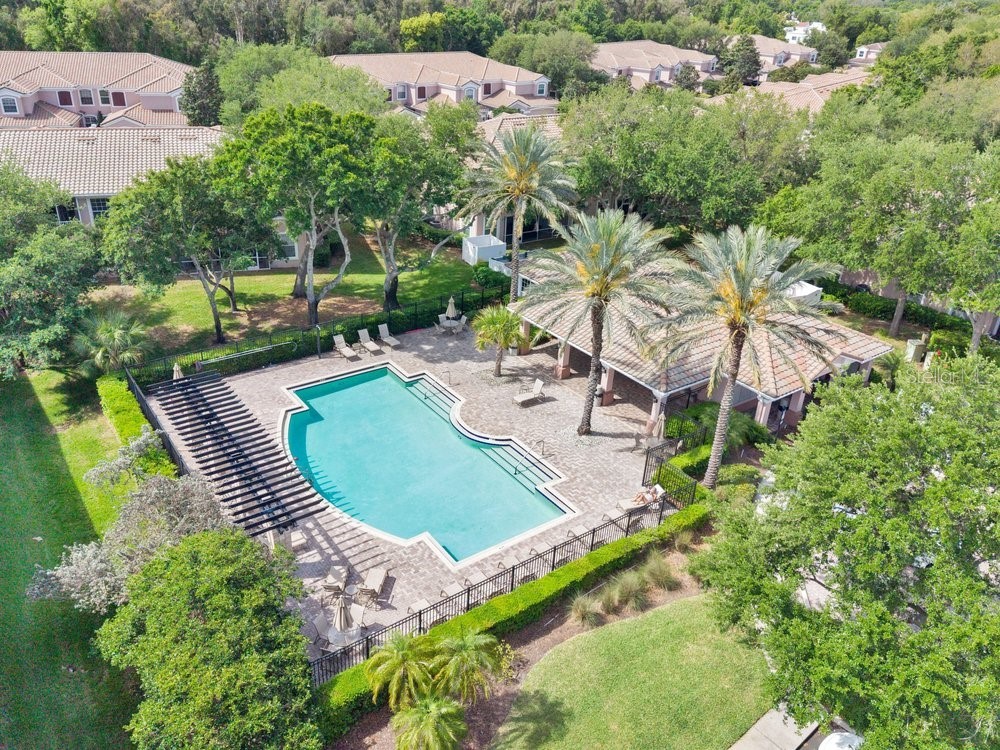 812 Lantern Way #104 Clearwater FL 33765 TB8508850 image30