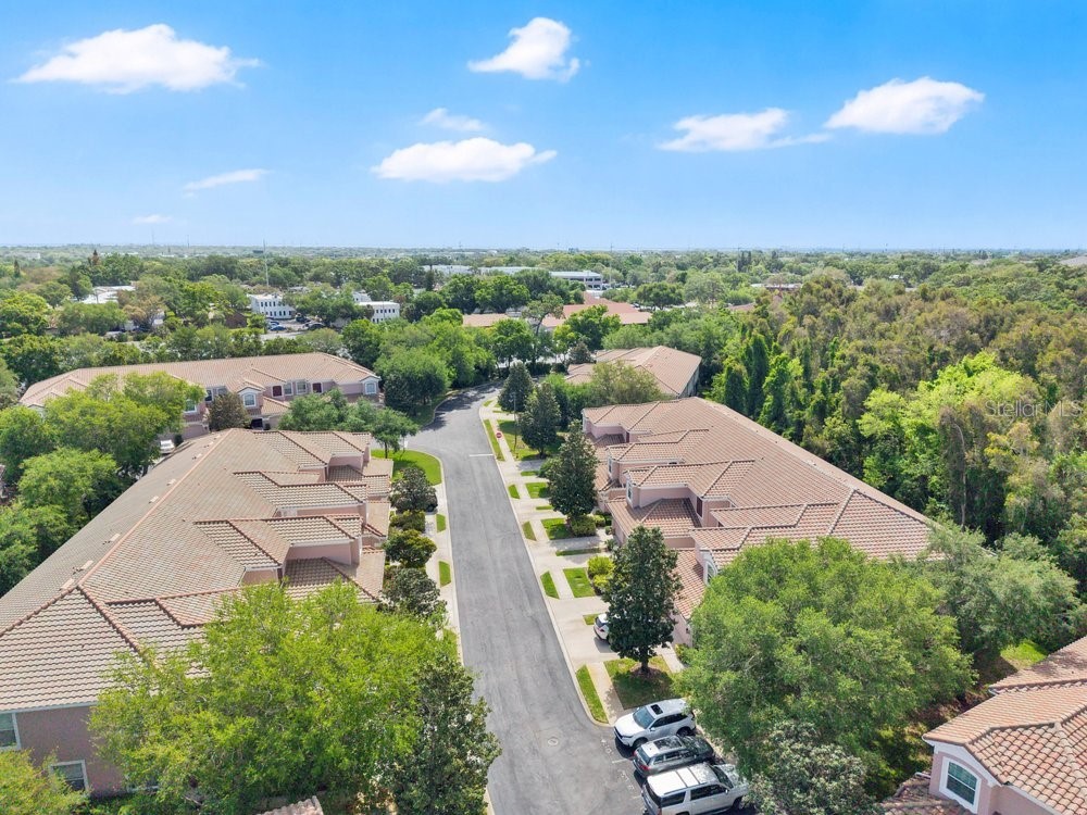 812 Lantern Way #104 Clearwater FL 33765 TB8508850 image40