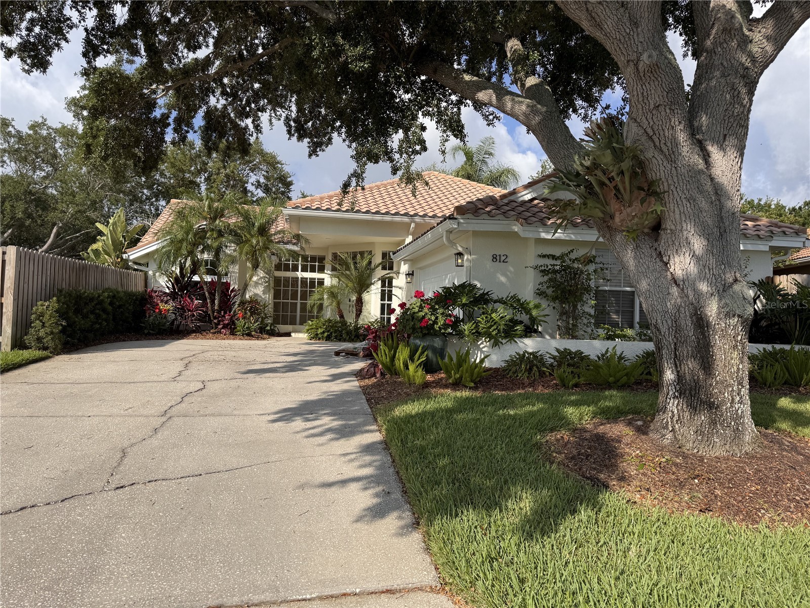 812 Live Oak Terrace NE Saint Petersburg FL 33703 TB8508007 image45
