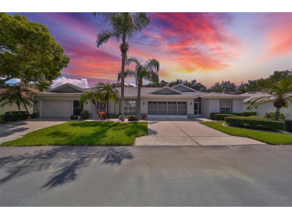 812 Mccallister Avenue Sun City Center FL 33573 T3543332 image1