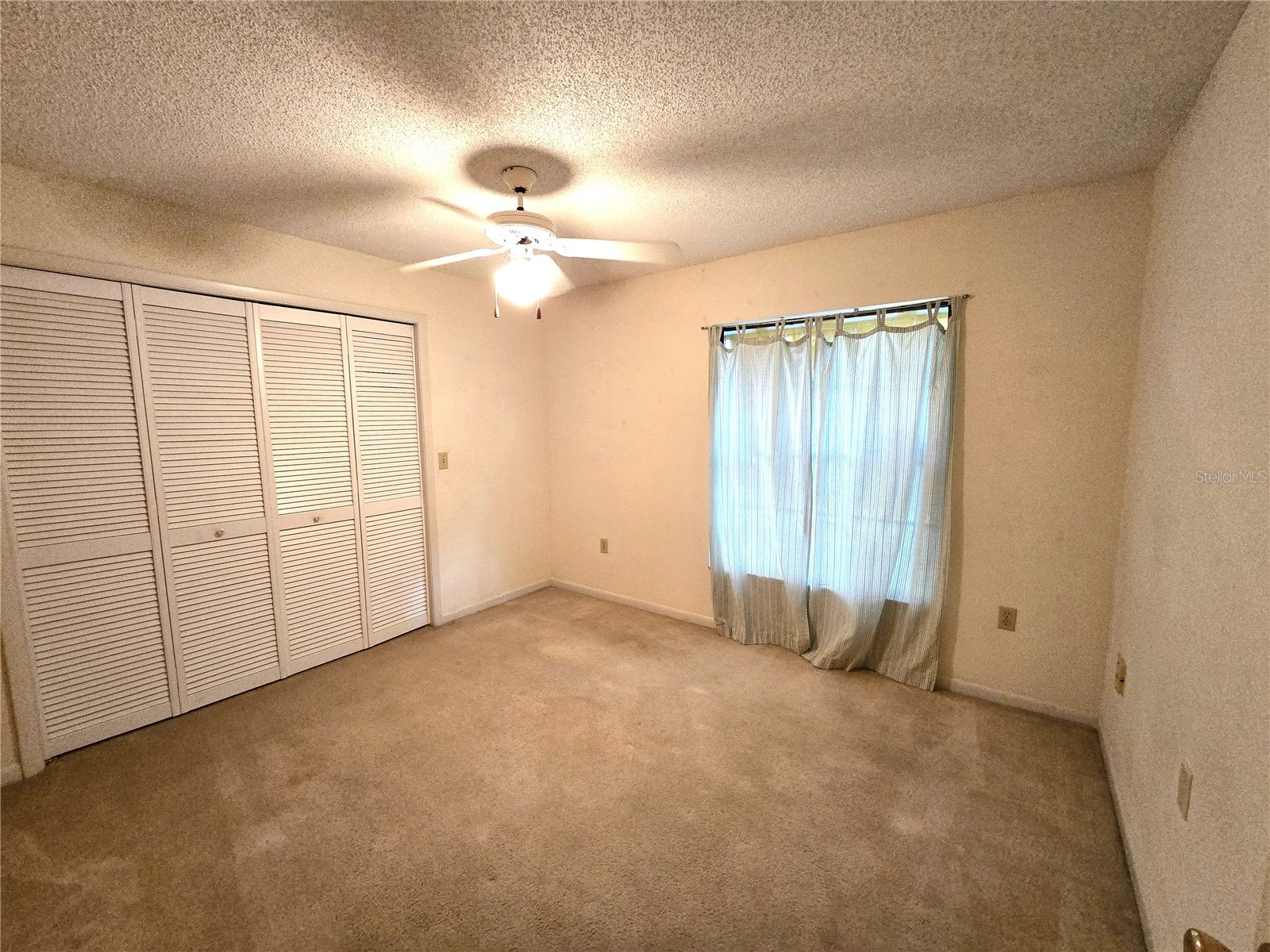 812 Sandalwood Drive Plant City FL 33563 TB8524369 image40