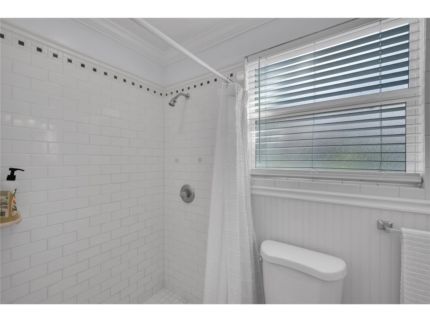 812 W Coral Street Tampa FL 33602 TB8498316 image18