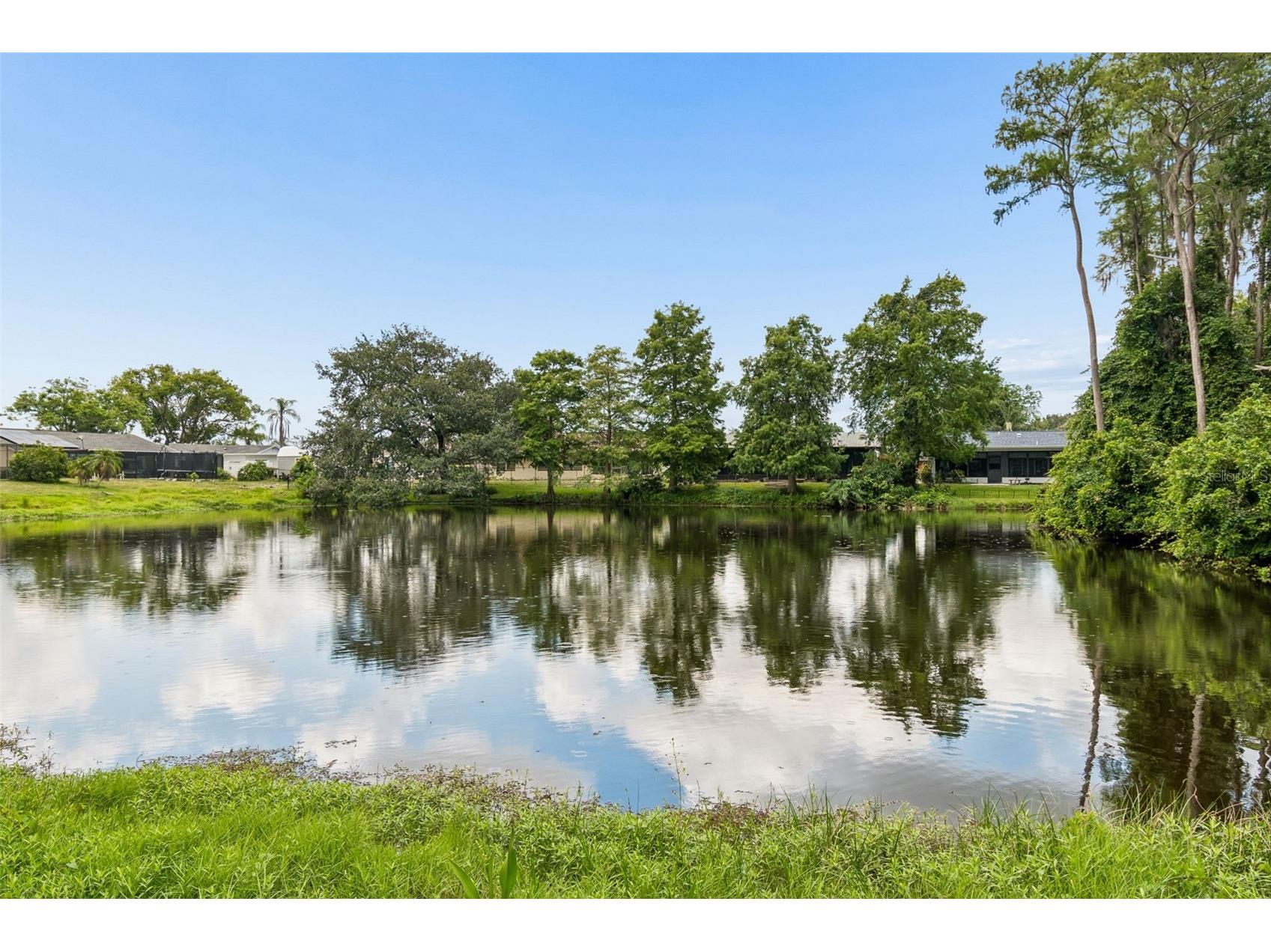 8120 Brown Pelican Avenue New Port Richey FL 34653 W7886704 image40