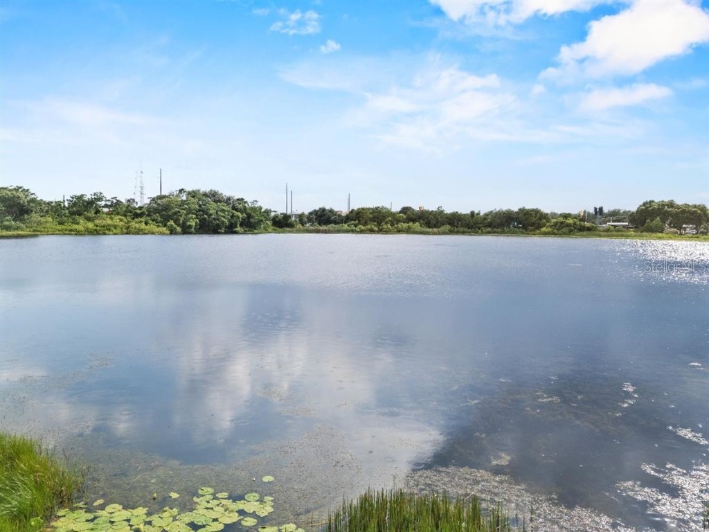 8120 Gondola Drive Orlando FL 32809 O6368704 image44