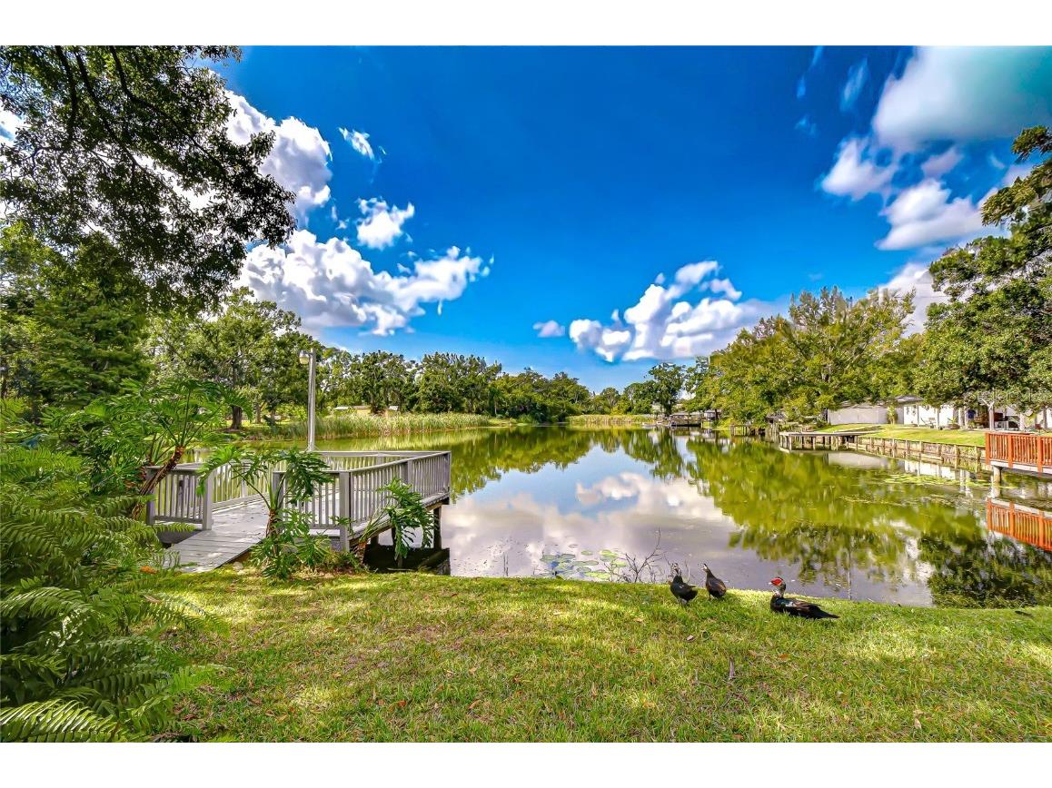 8120 N Albany Avenue Tampa FL 33604 TB8447320 image1