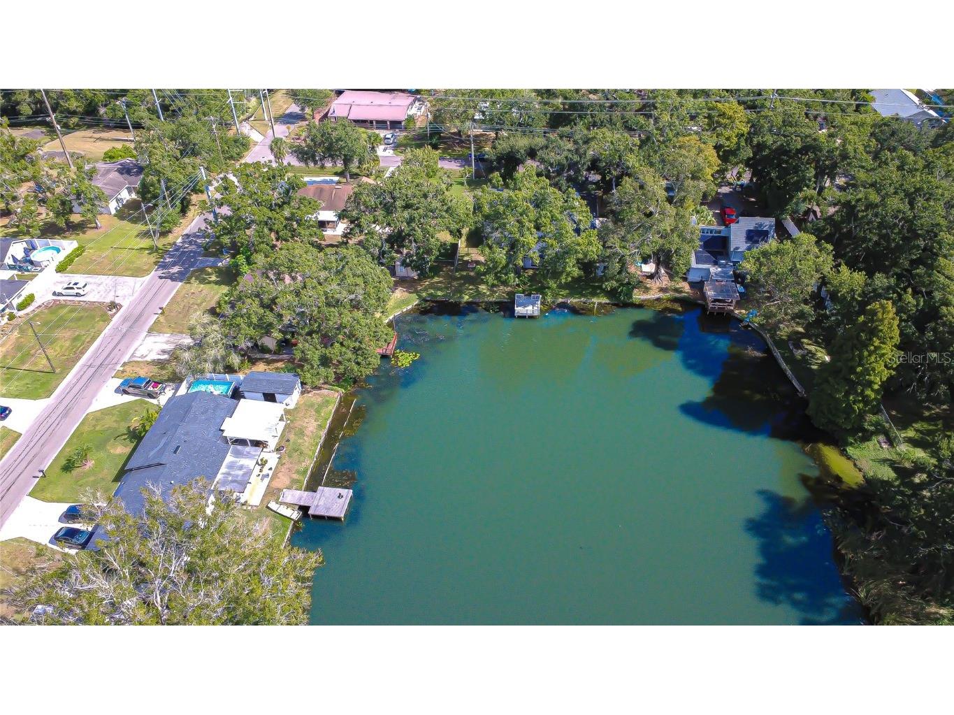 8120 N Albany Avenue Tampa FL 33604 TB8447320 image2