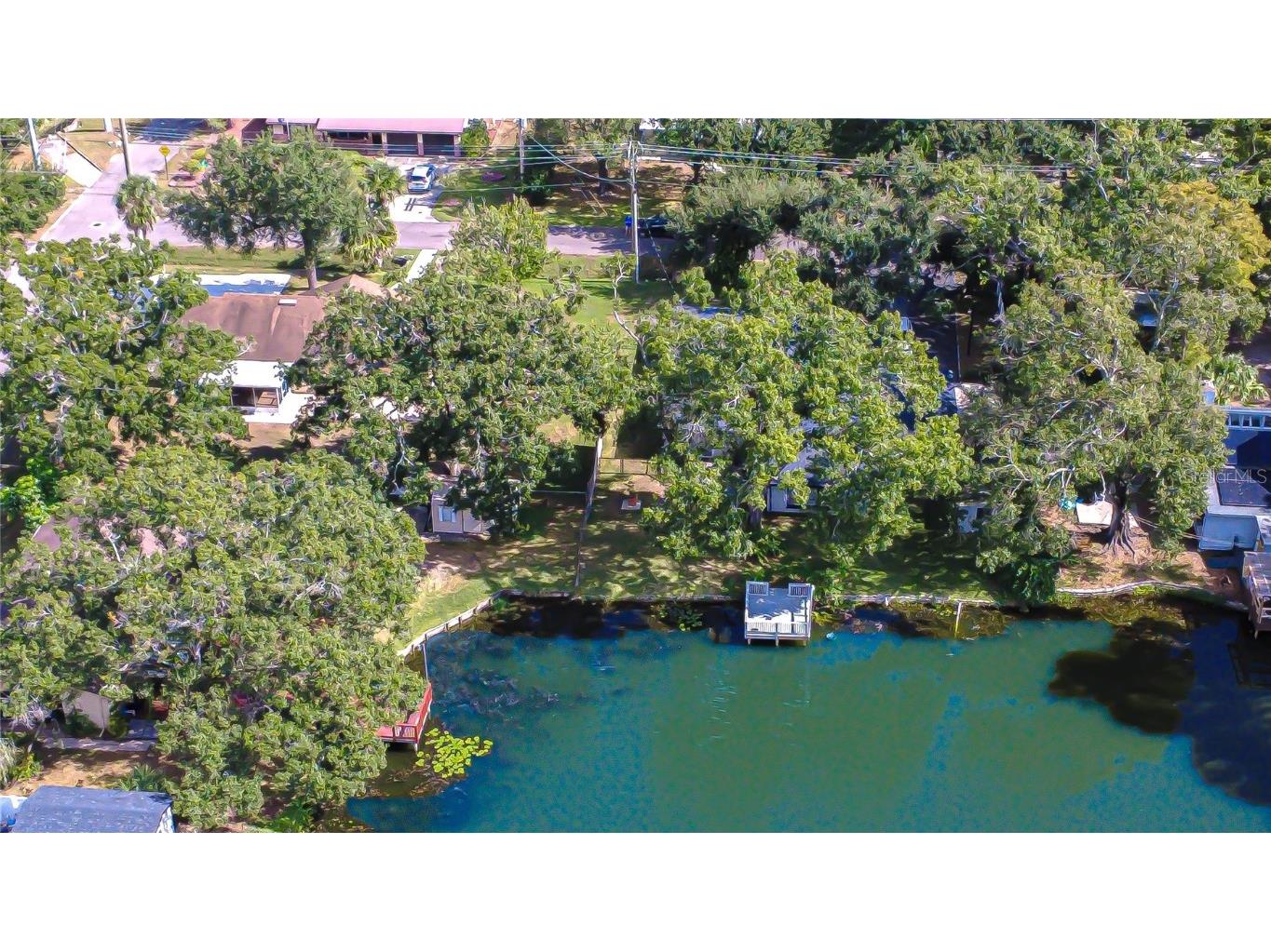 8120 N Albany Avenue Tampa FL 33604 TB8447320 image36