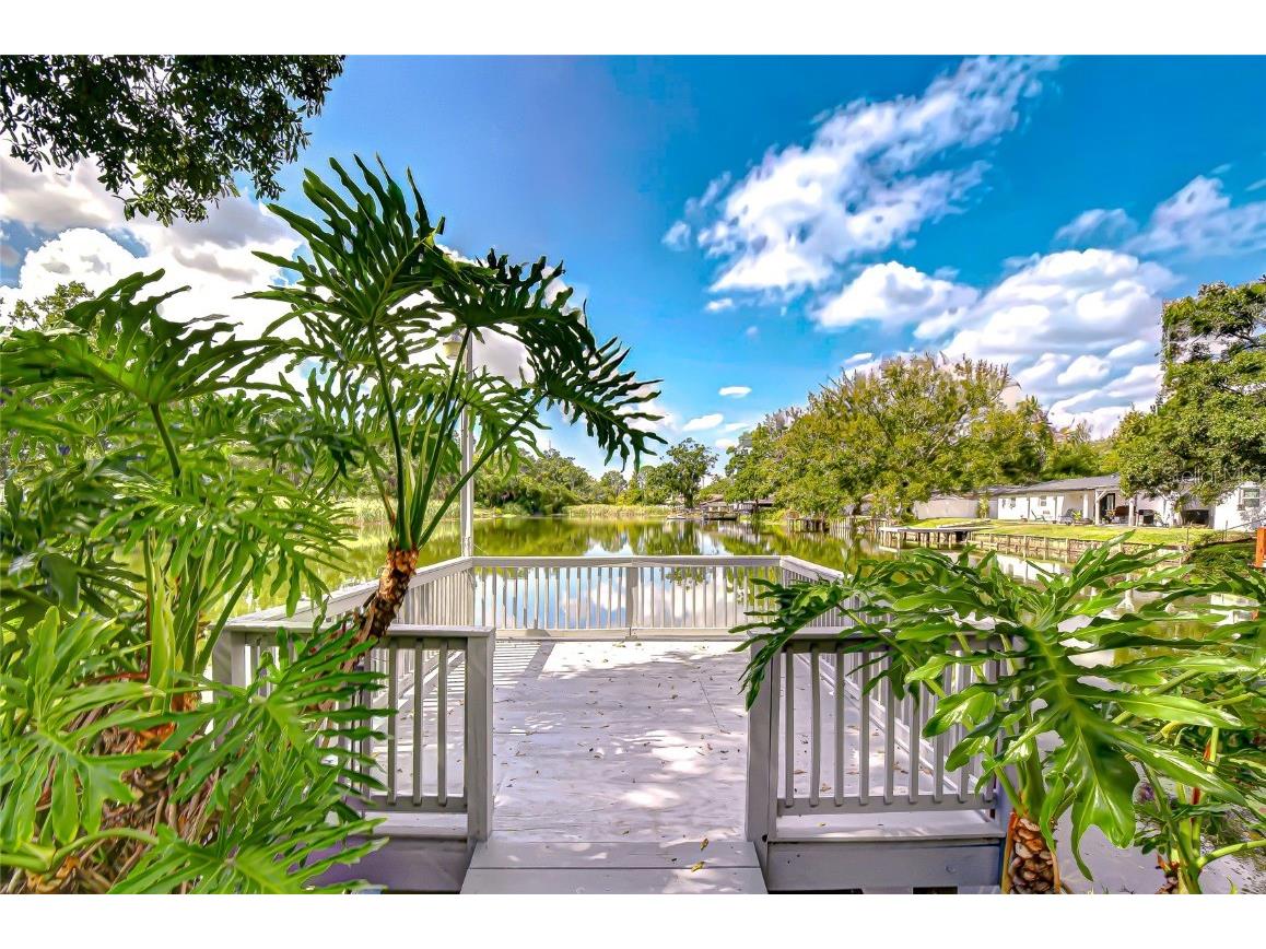 8120 N Albany Avenue Tampa FL 33604 TB8447320 image4