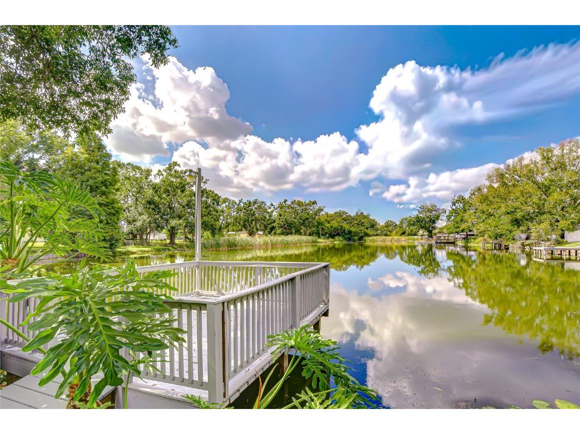 8120 N Albany Avenue Tampa FL 33604 TB8447320 image5