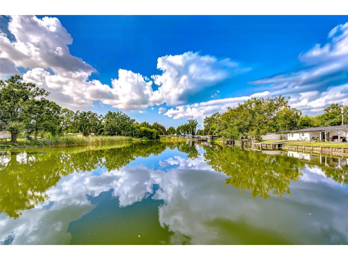 8120 N Albany Avenue Tampa FL 33604 TB8447320 image6