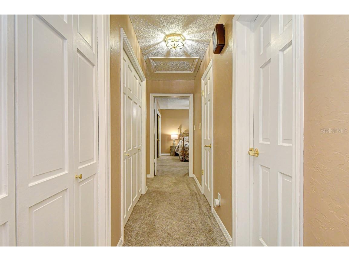 8120 N Albany Avenue Tampa FL 33604 TB8447320 image64