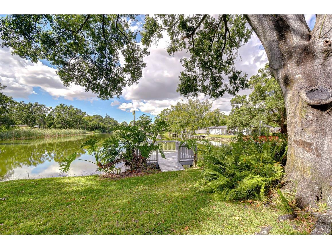 8120 N Albany Avenue Tampa FL 33604 TB8447320 image7