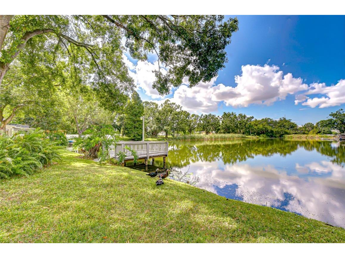 8120 N Albany Avenue Tampa FL 33604 TB8447320 image9