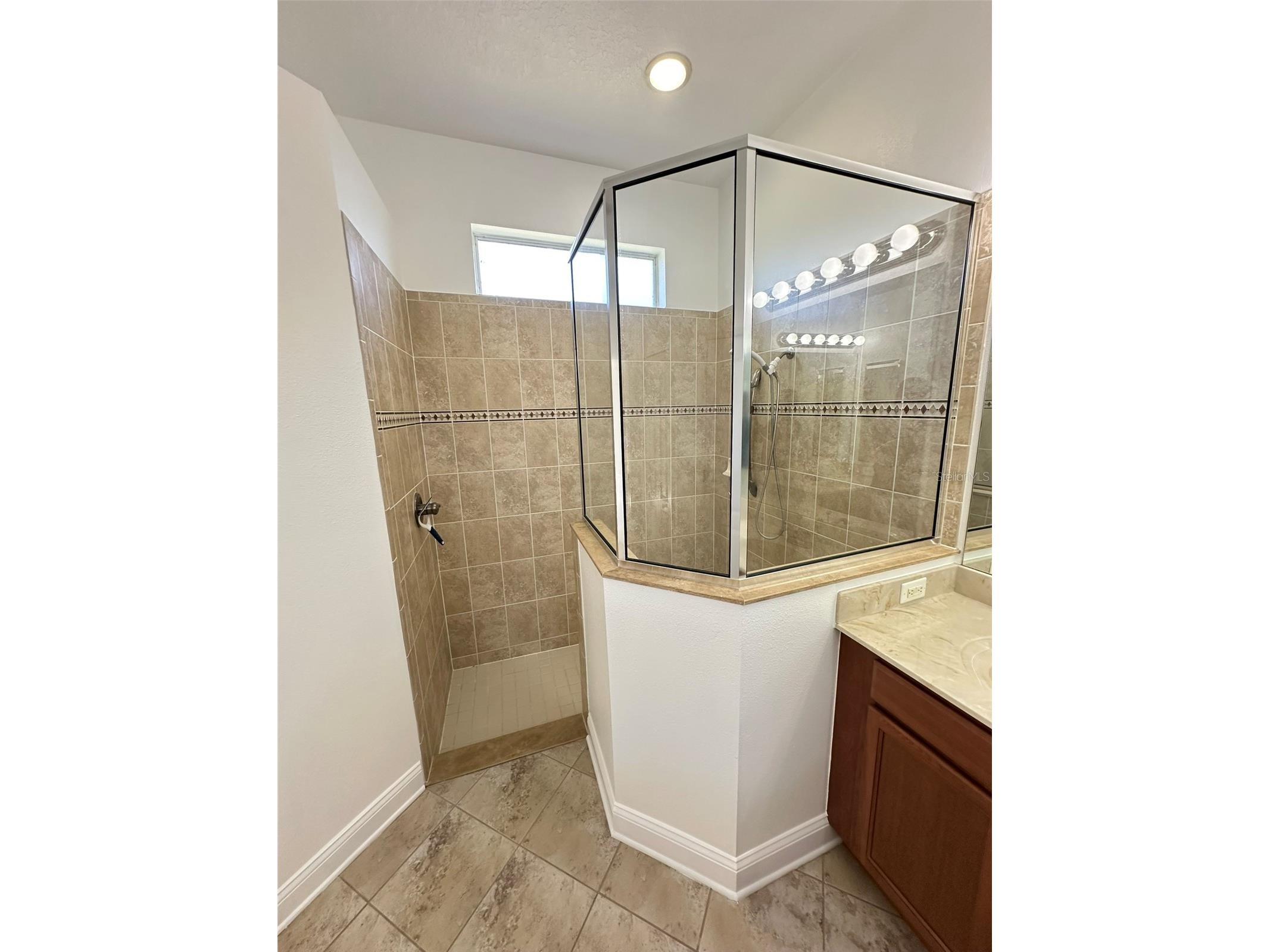 8120 Turkey Hill Court Tampa FL 33647 TB8516684 image21
