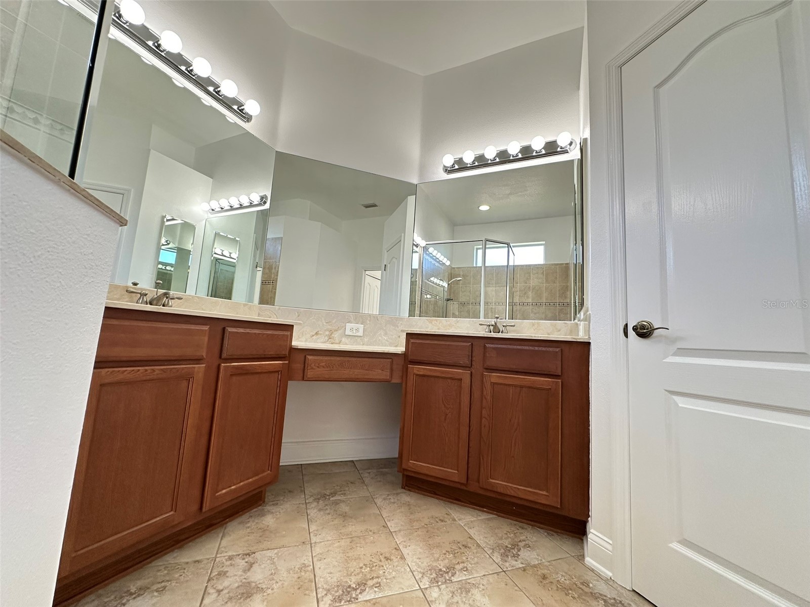 8120 Turkey Hill Court Tampa FL 33647 TB8516684 image23