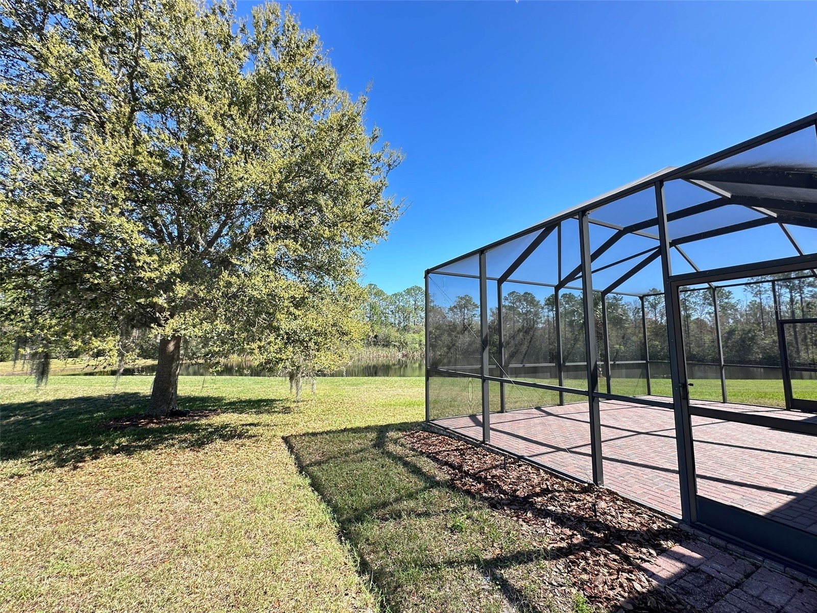 8120 Turkey Hill Court Tampa FL 33647 TB8516684 image27