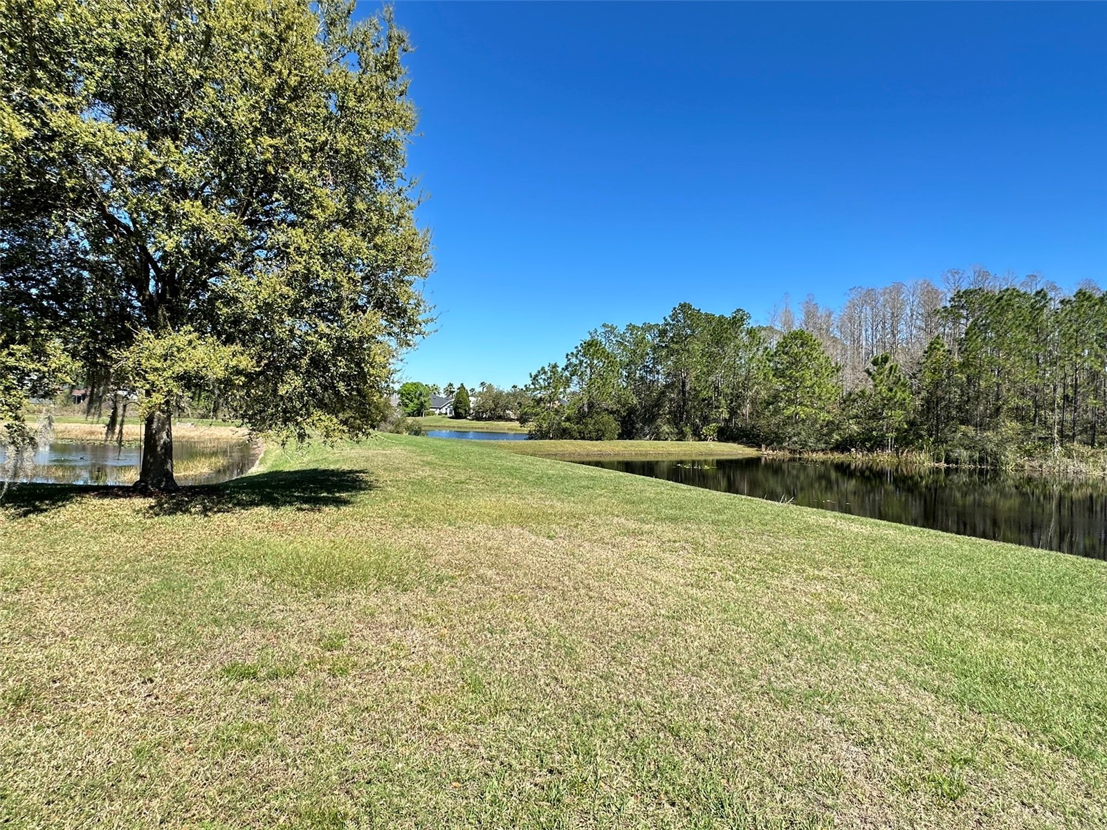 8120 Turkey Hill Court Tampa FL 33647 TB8516684 image28
