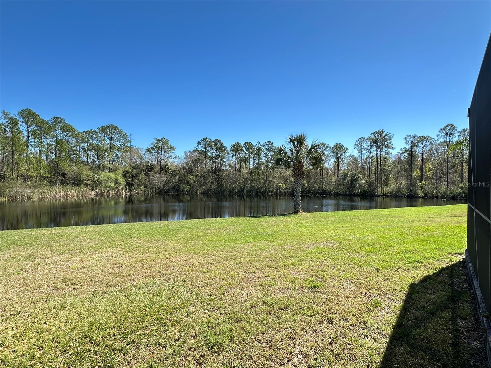 8120 Turkey Hill Court Tampa FL 33647 TB8516684 image29