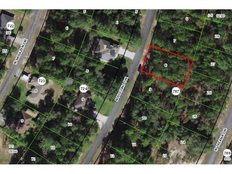 8121 N Pocono Drive Citrus Springs FL 34434 OM654336 image1