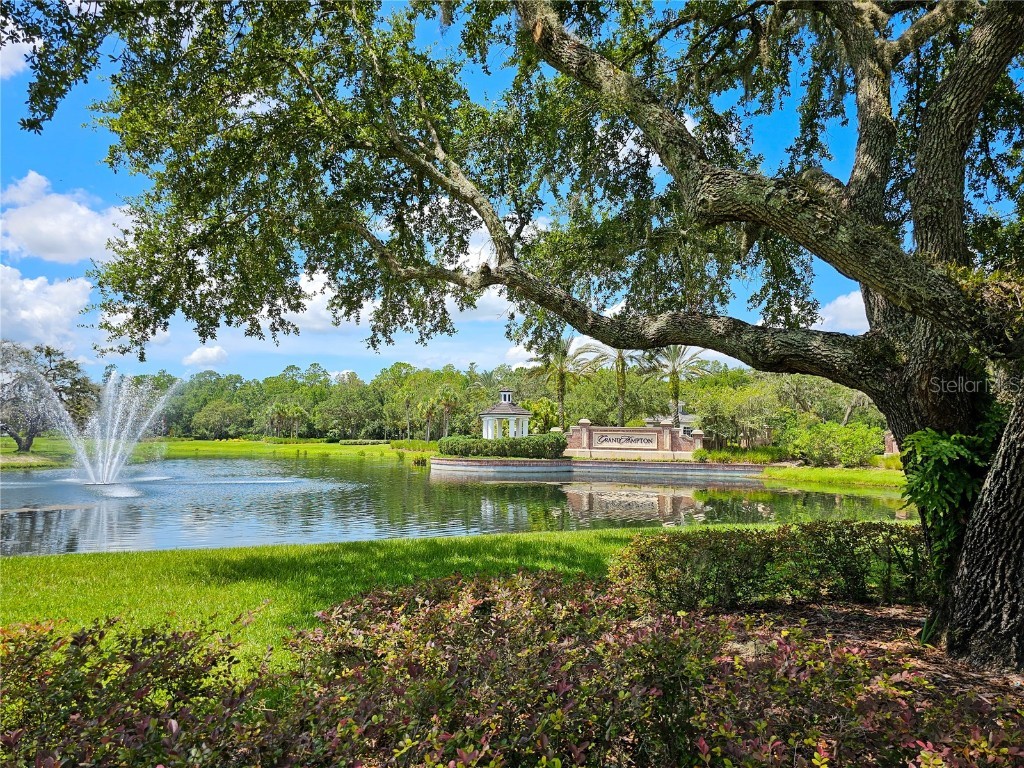 8122 Hampton Lake Drive Tampa FL 33647 U8202541 image1