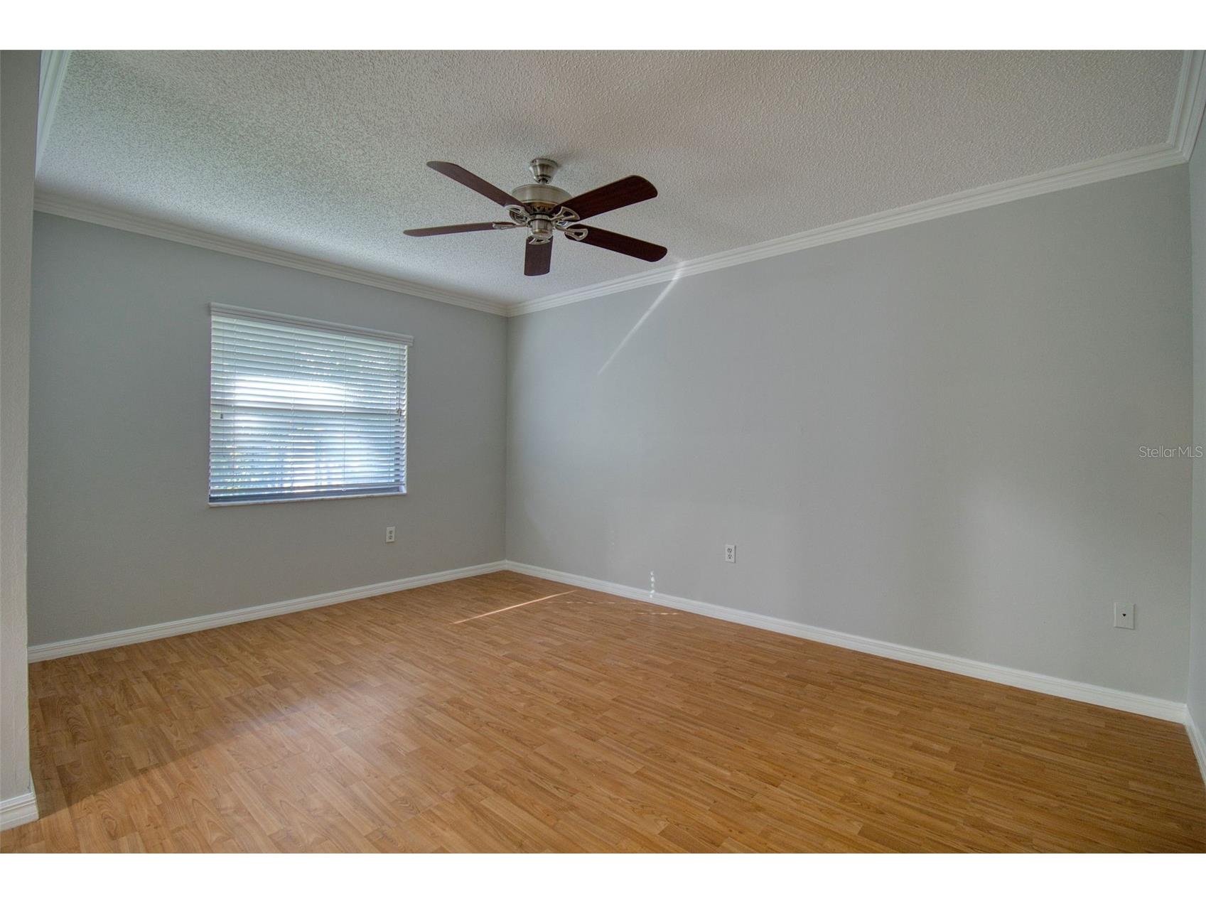 8122 Matthew Drive New Port Richey FL 34653 W7876989 image12