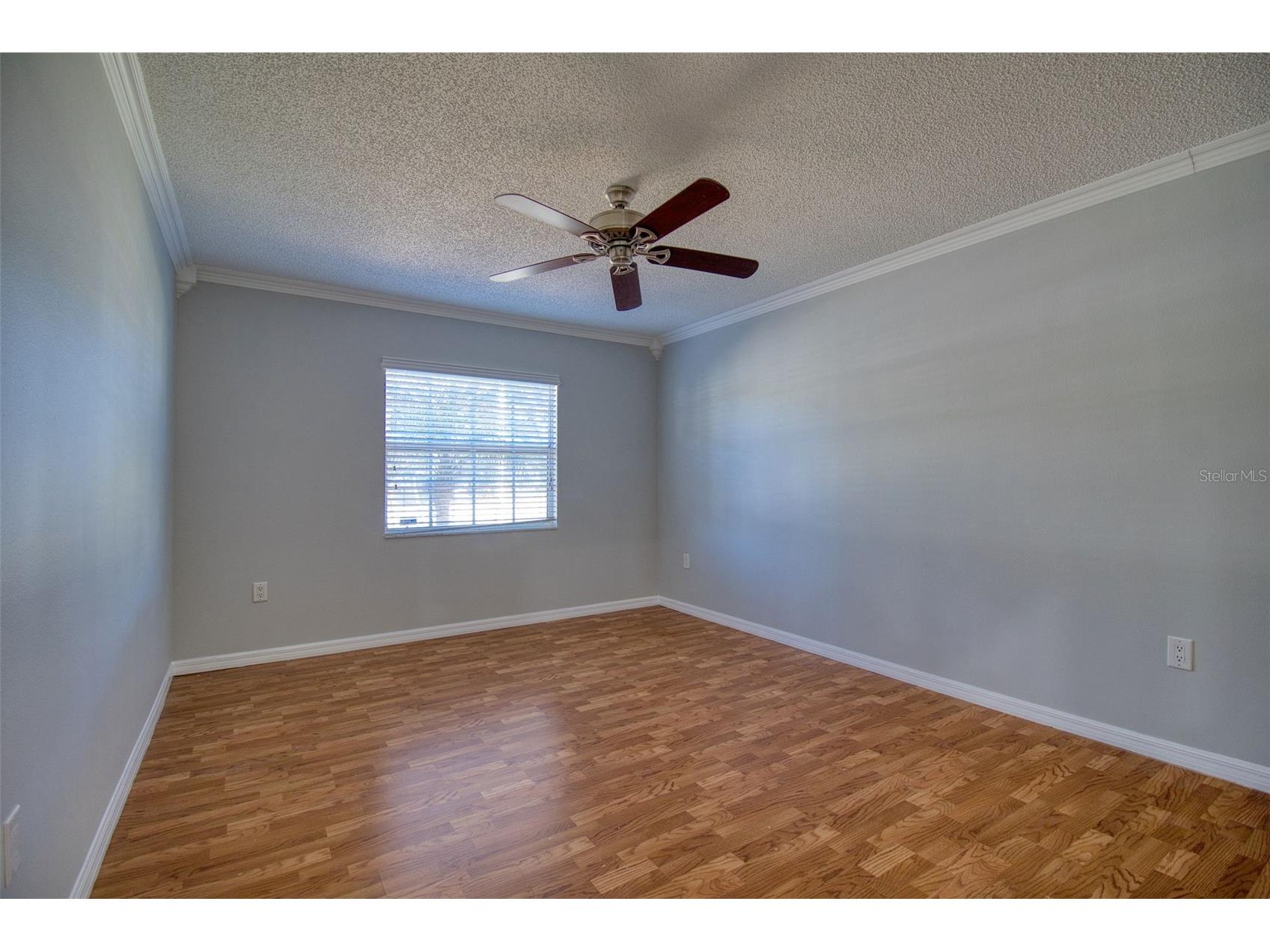 8122 Matthew Drive New Port Richey FL 34653 W7876989 image16
