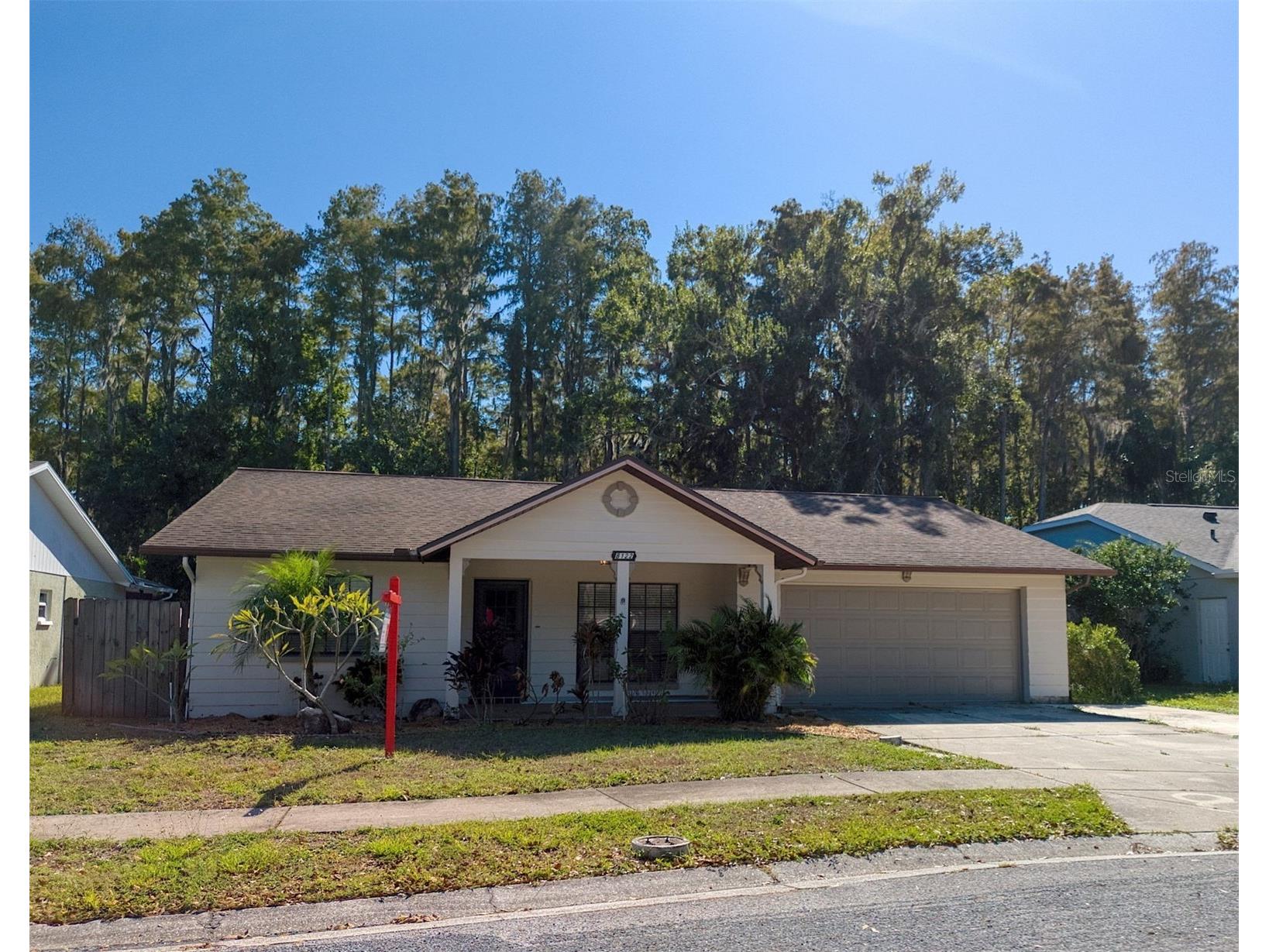8122 Matthew Drive New Port Richey FL 34653 W7876989 image3