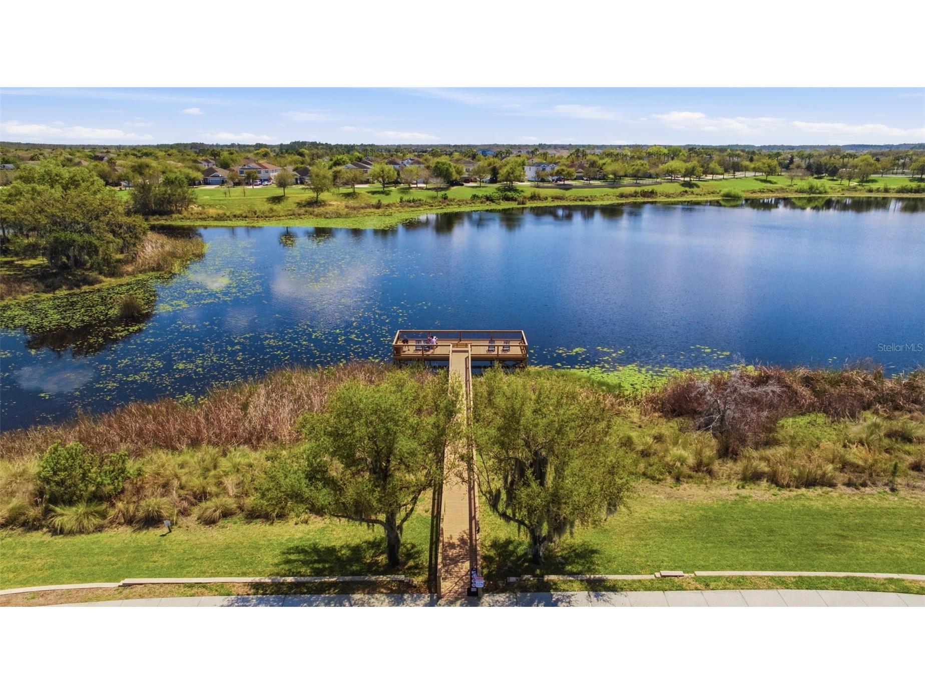 8122 Red Stopper Lane Winter Garden FL 34787 O6391514 image48