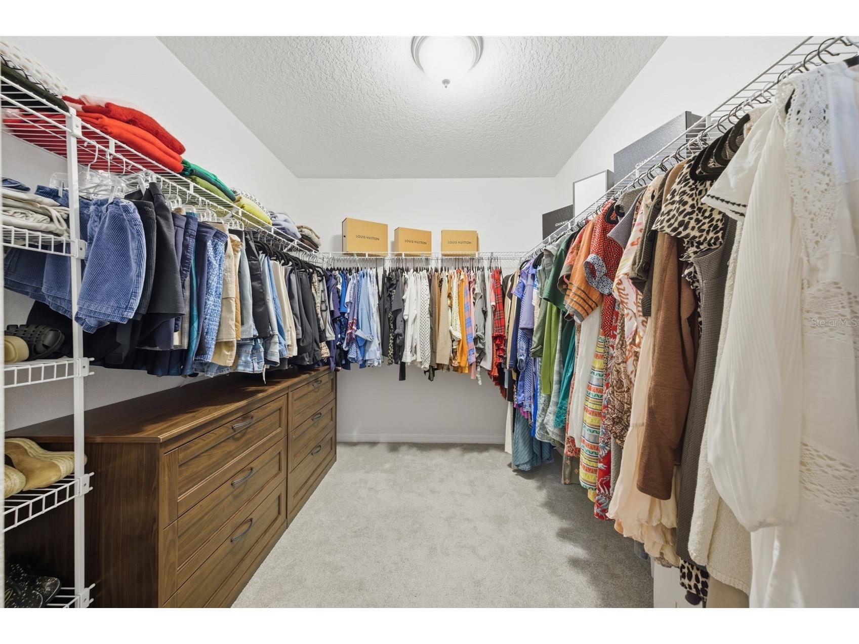 8122 Red Stopper Lane Winter Garden FL 34787 O6391514 image7