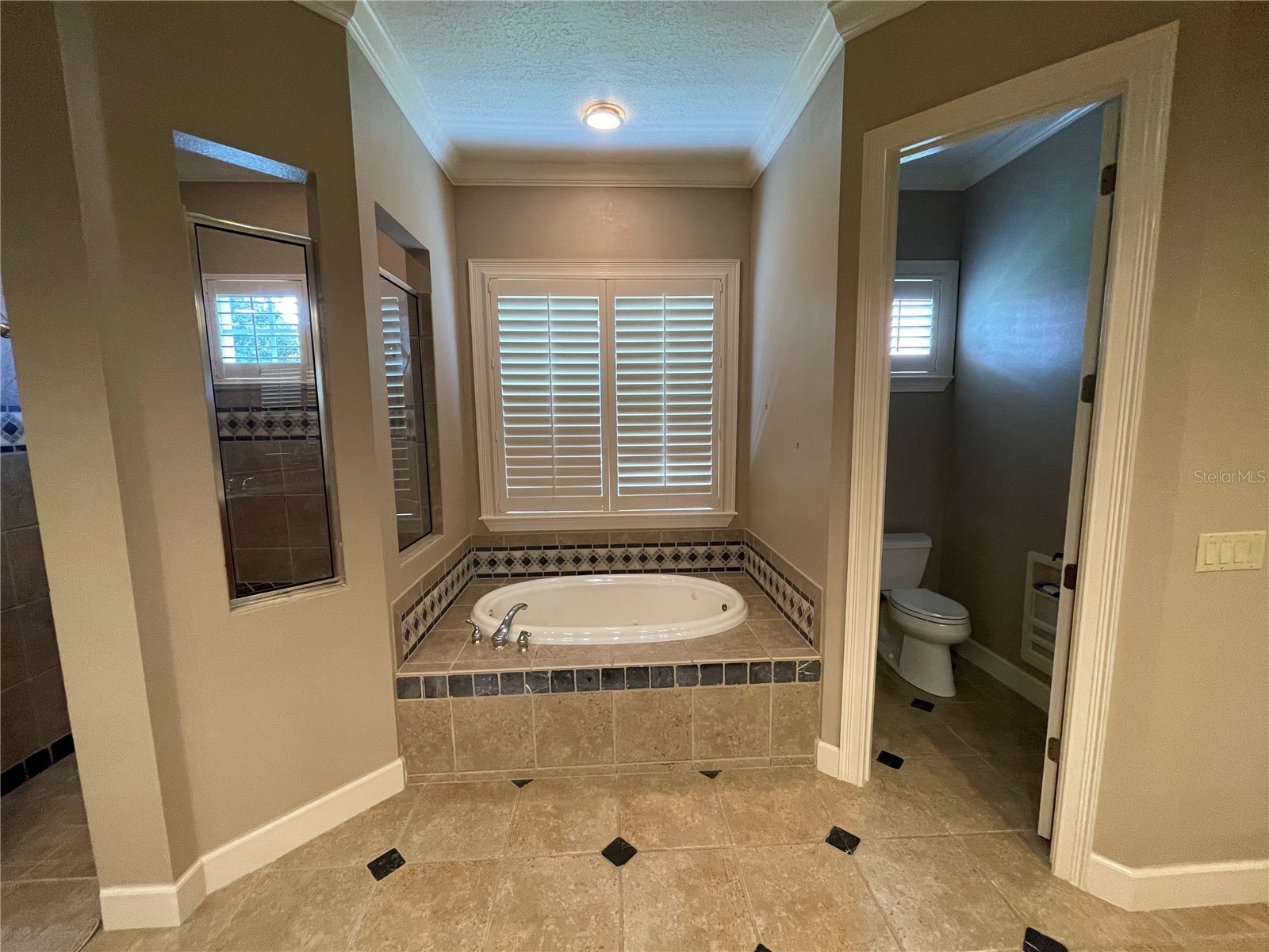 8122 Whitford Court Windermere FL 34786 O6406342 image6