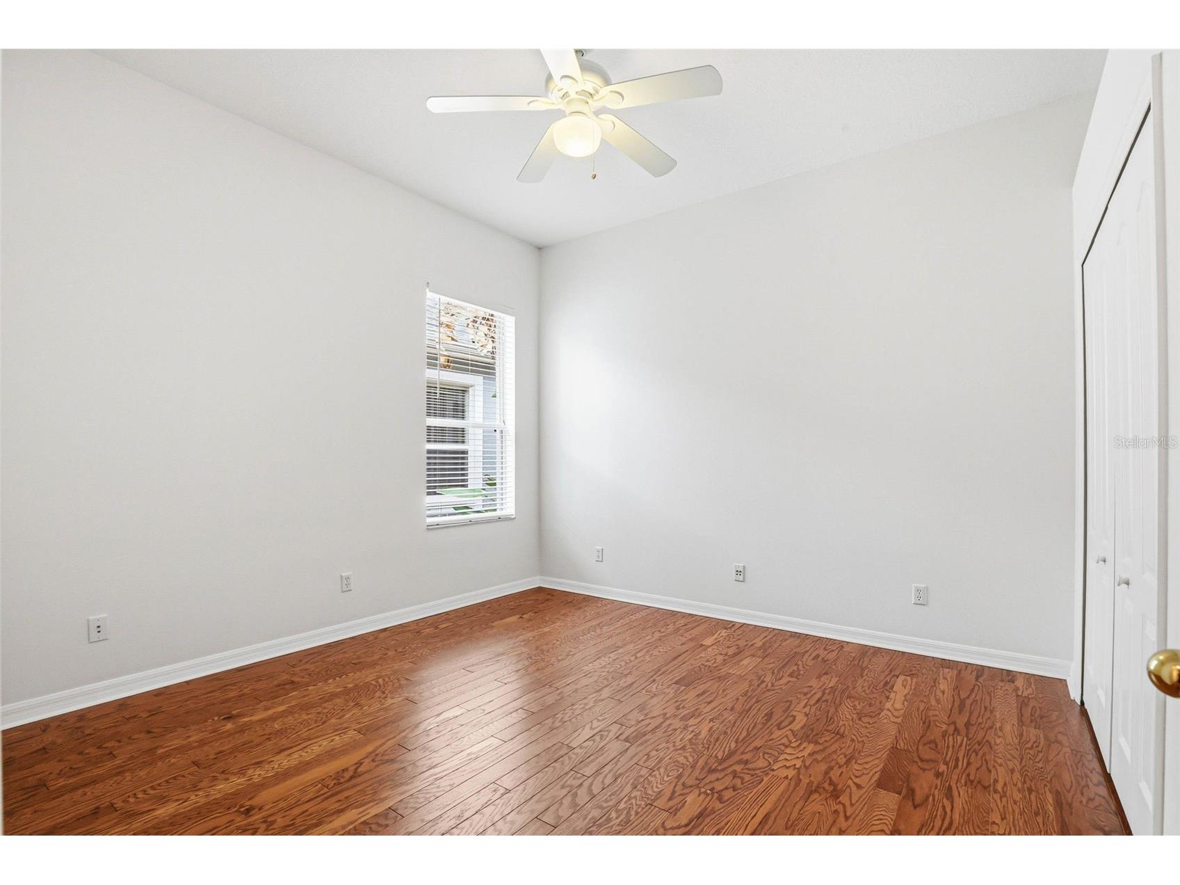 8123 Camella Lane Tampa FL 33647 TB8492589 image44