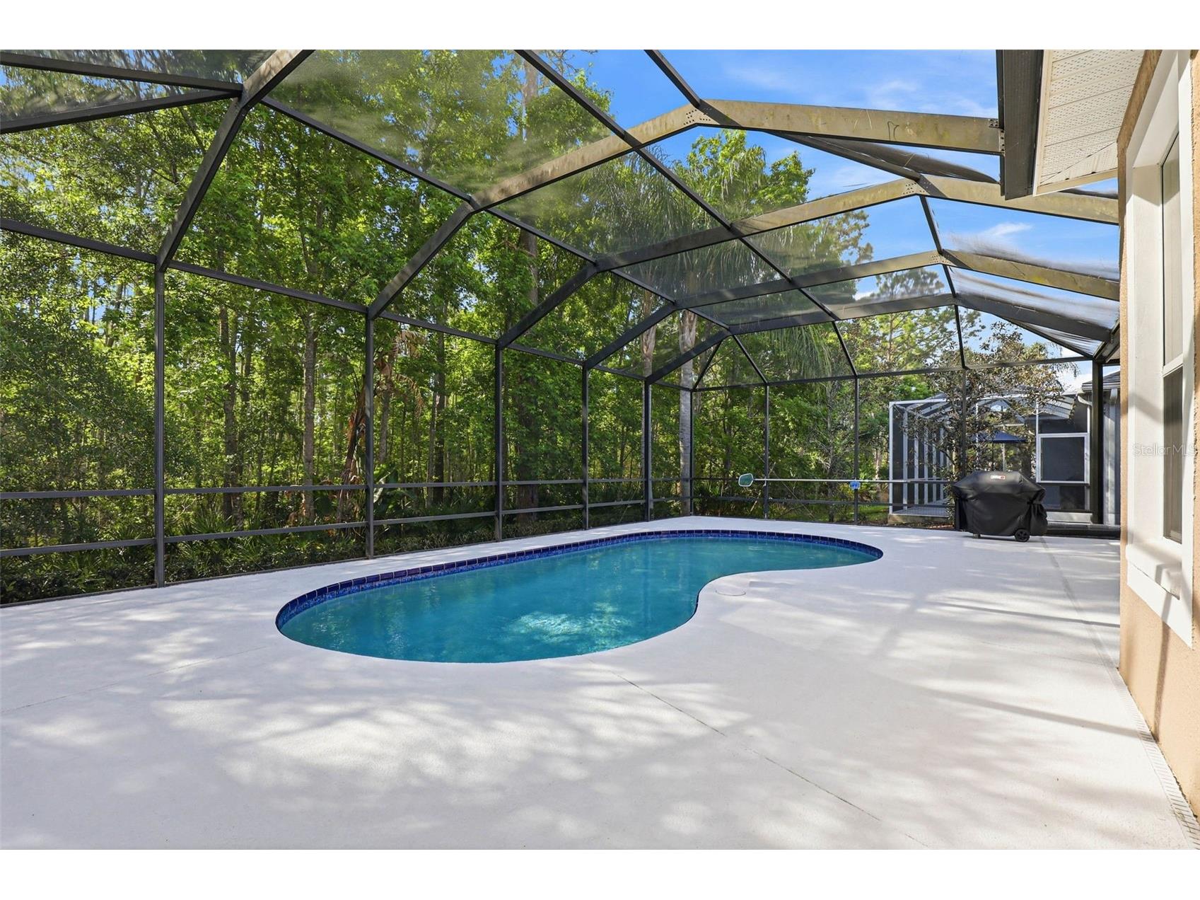 8123 Camella Lane Tampa FL 33647 TB8492589 image63