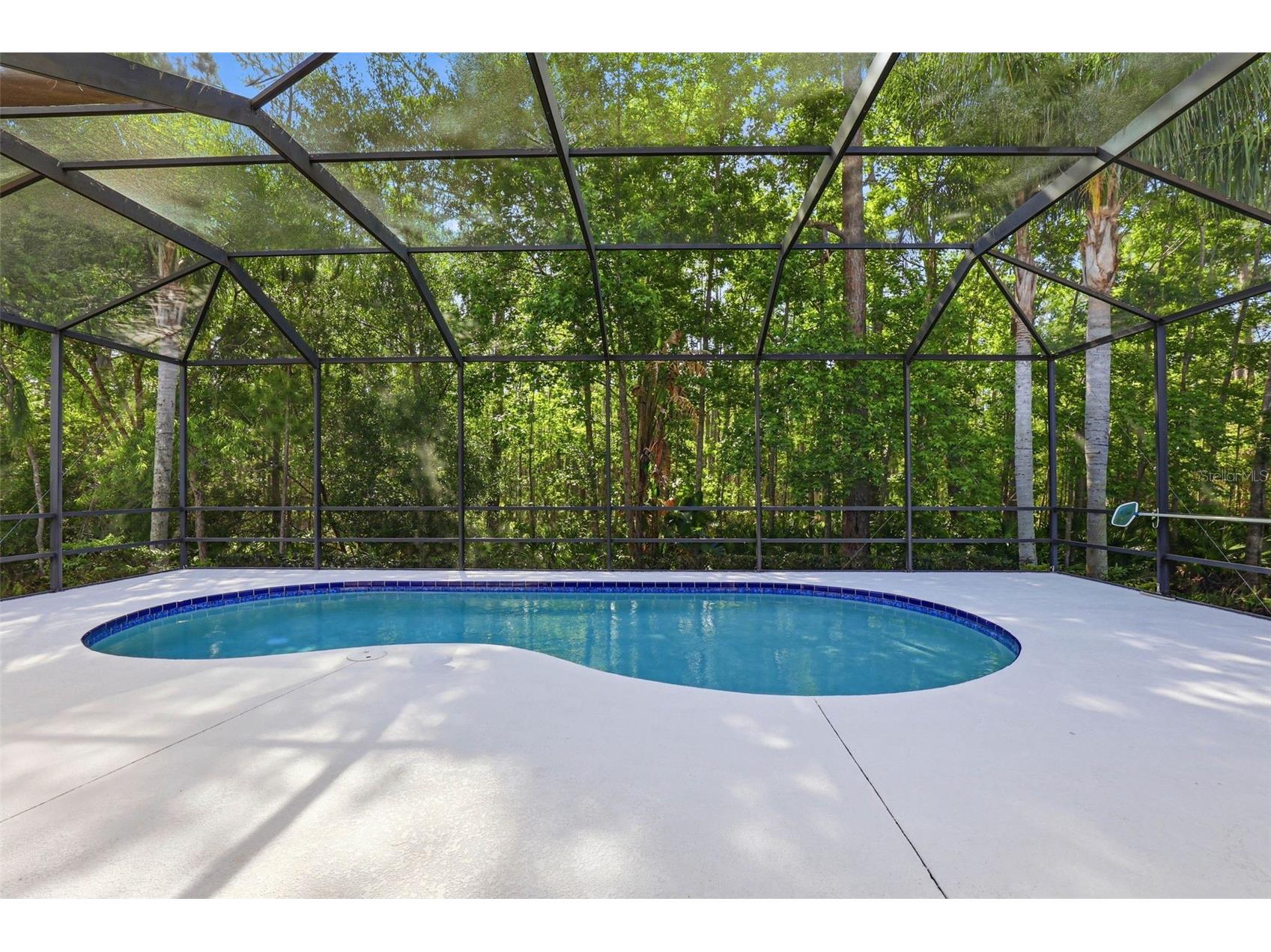 8123 Camella Lane Tampa FL 33647 TB8492589 image64
