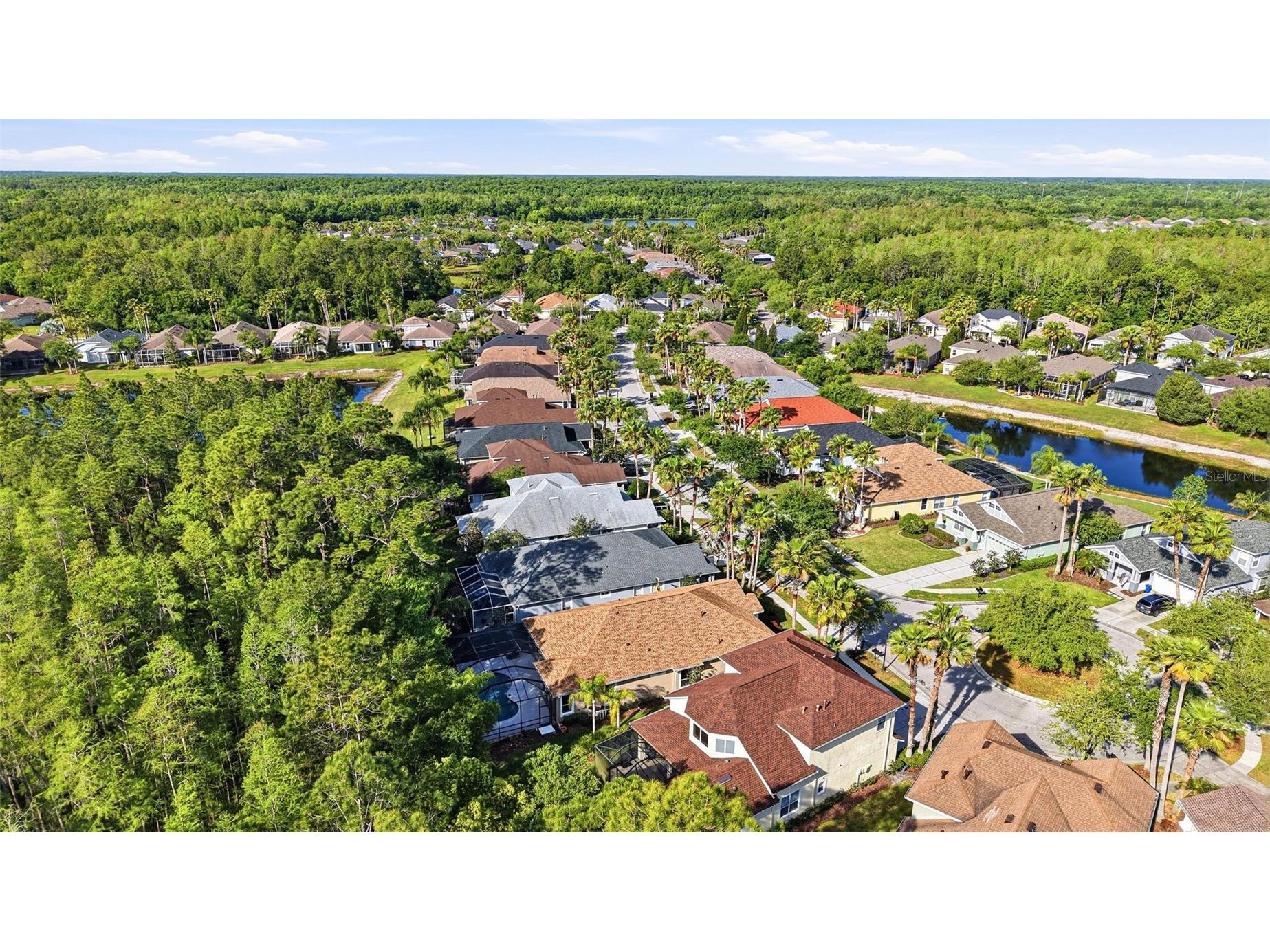 8123 Camella Lane Tampa FL 33647 TB8492589 image79