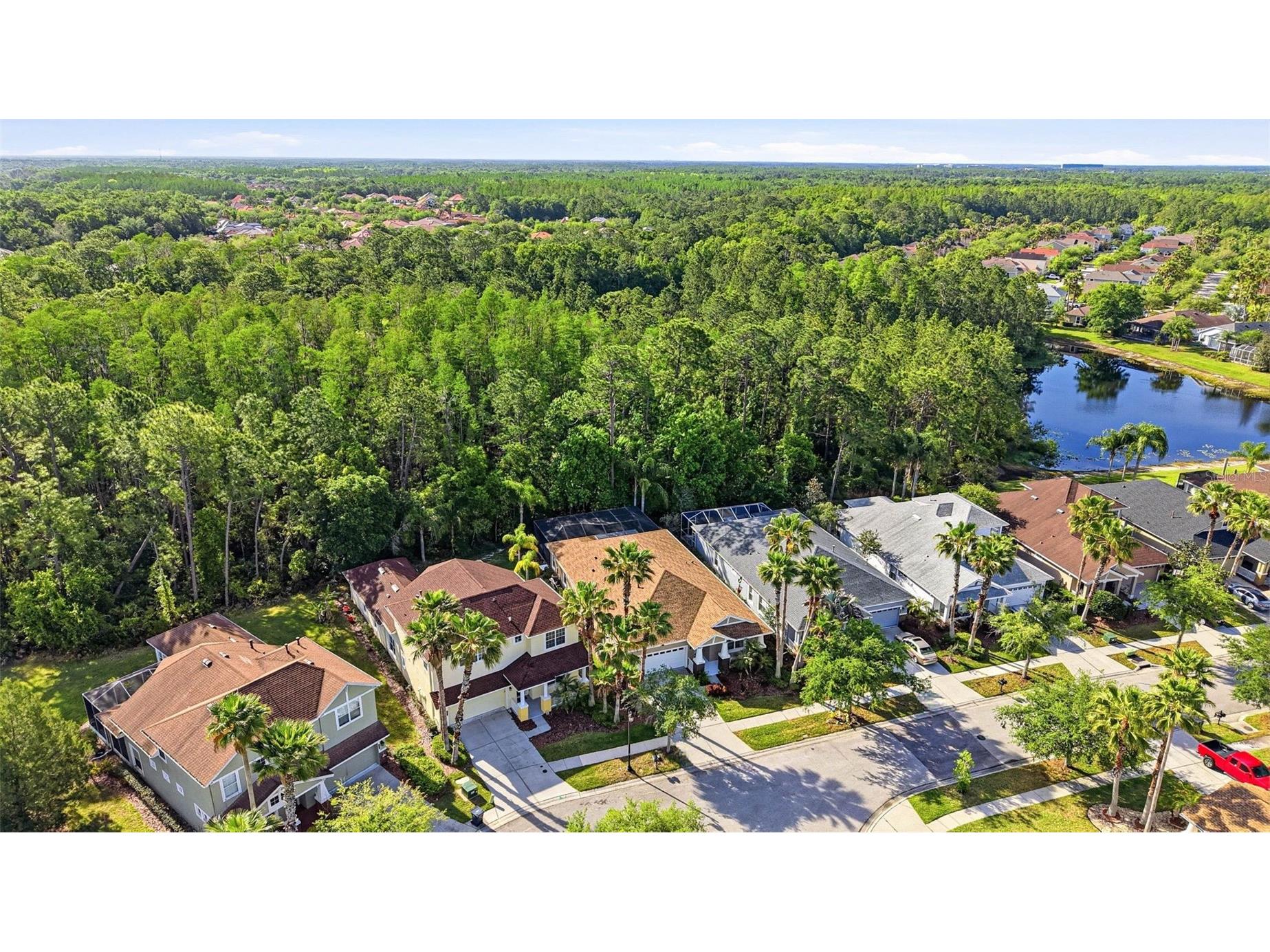 8123 Camella Lane Tampa FL 33647 TB8492589 image80