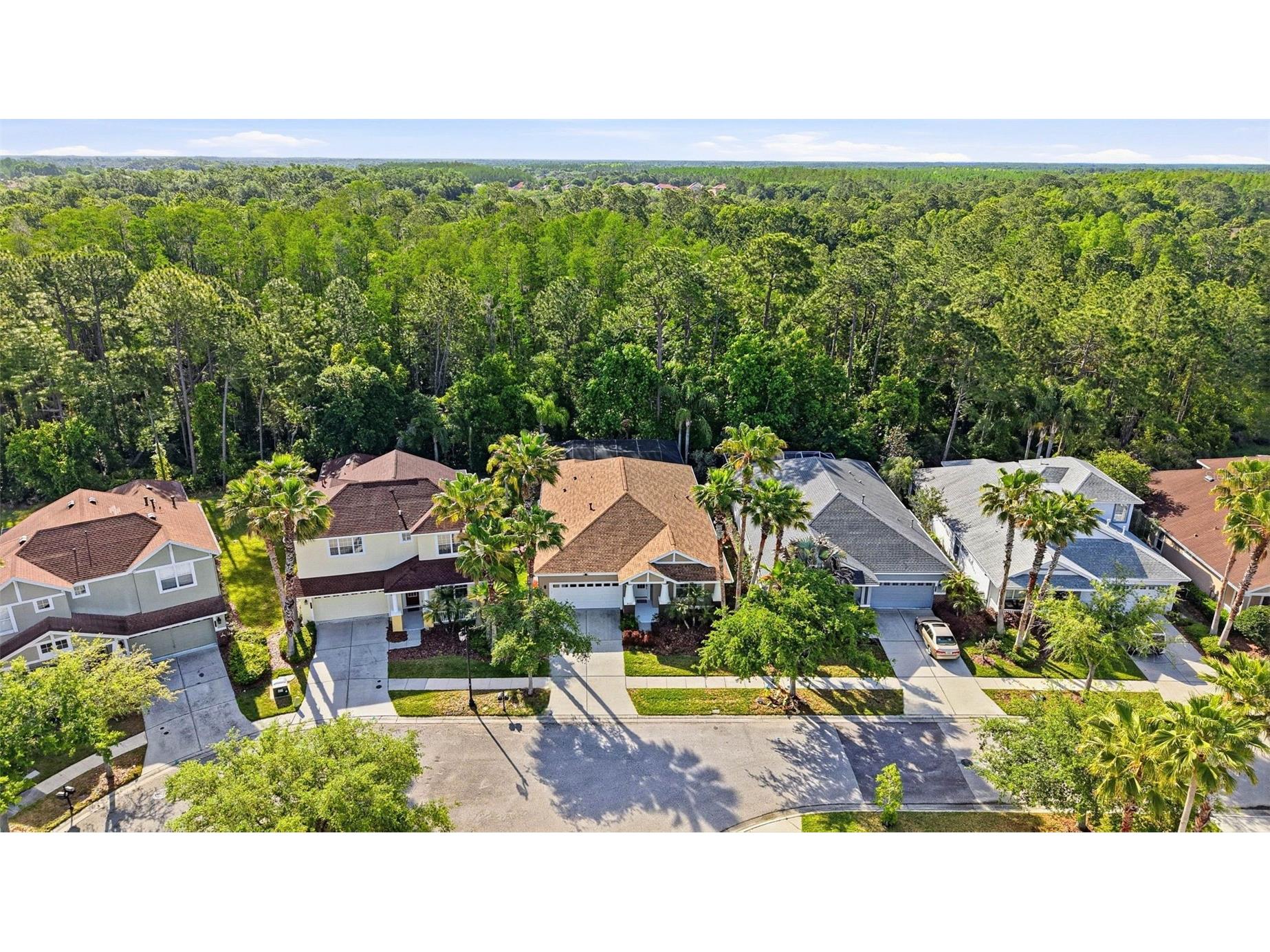 8123 Camella Lane Tampa FL 33647 TB8492589 image81