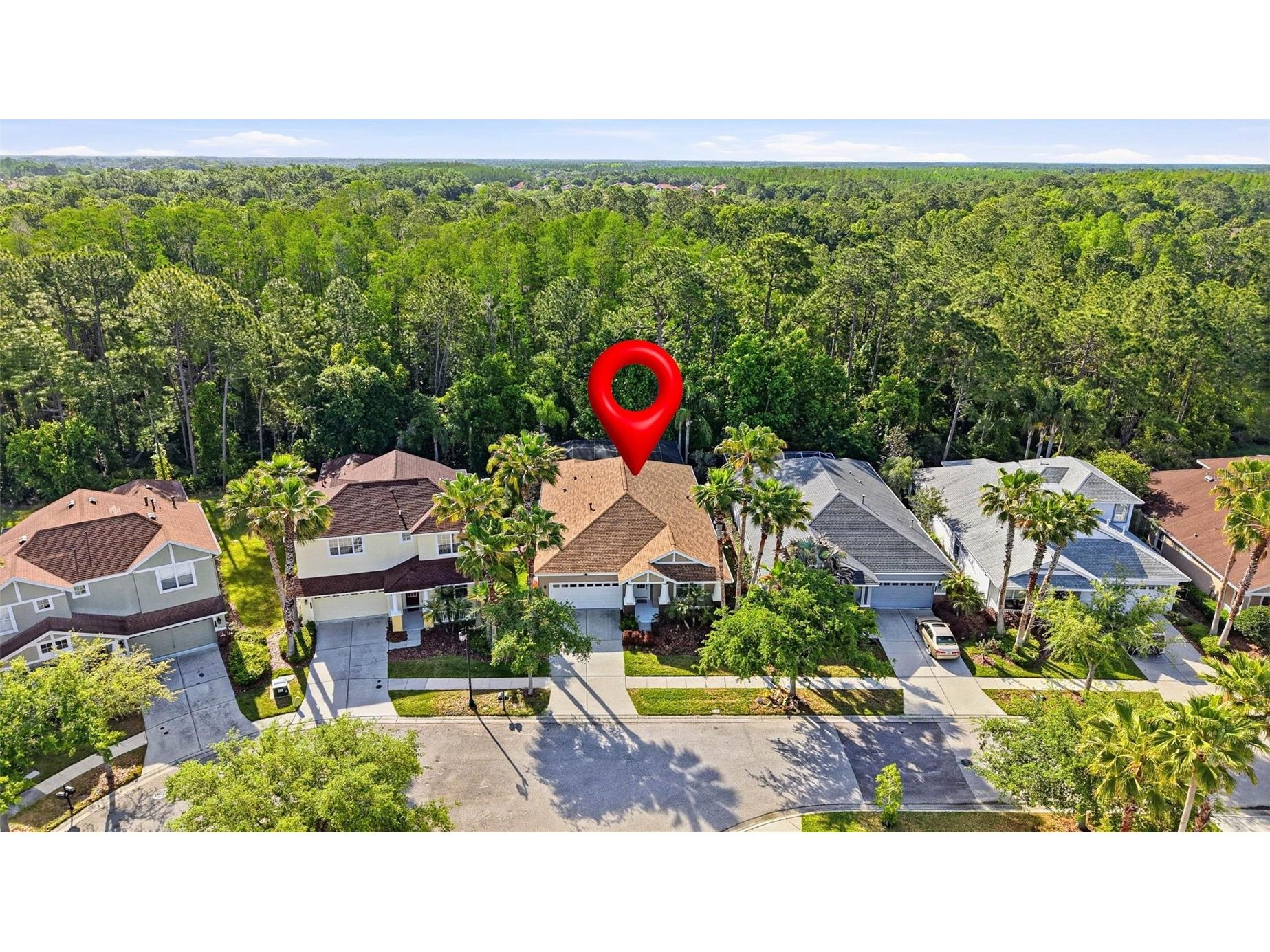 8123 Camella Lane Tampa FL 33647 TB8492589 image82