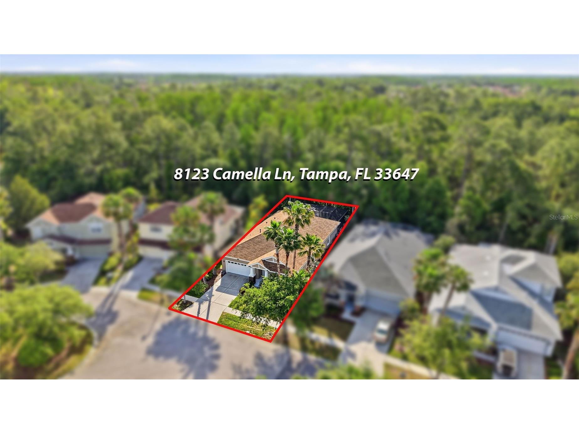 8123 Camella Lane Tampa FL 33647 TB8492589 image84