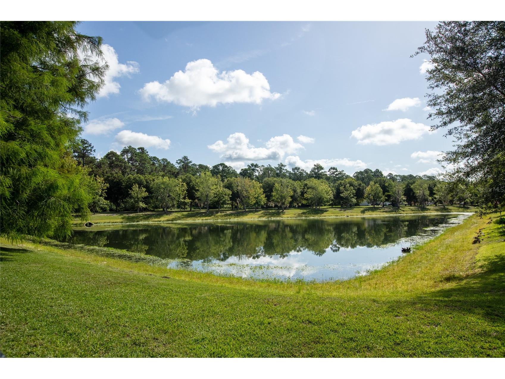 8123 NW 51st Drive Gainesville FL 32653 GC541916 image8