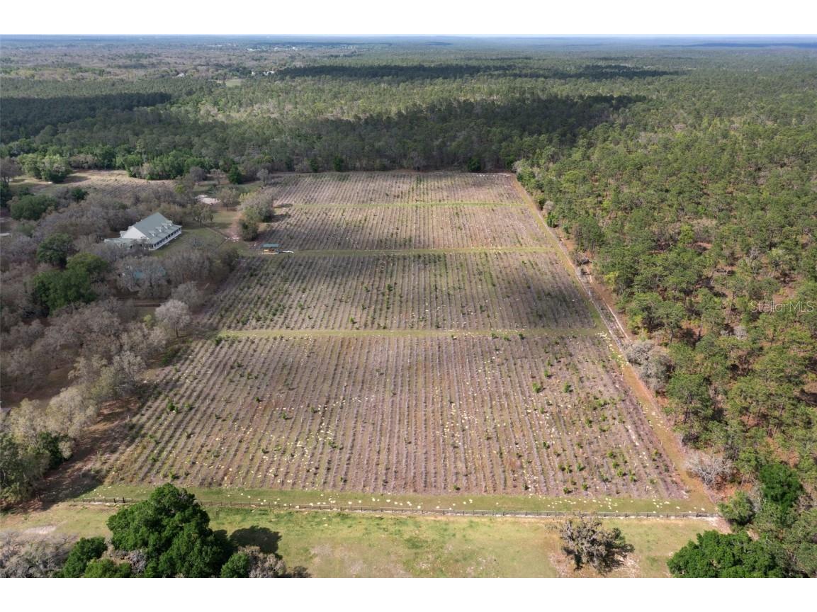 8123 S Lecanto Highway Lecanto FL 34461 OM677445 image8