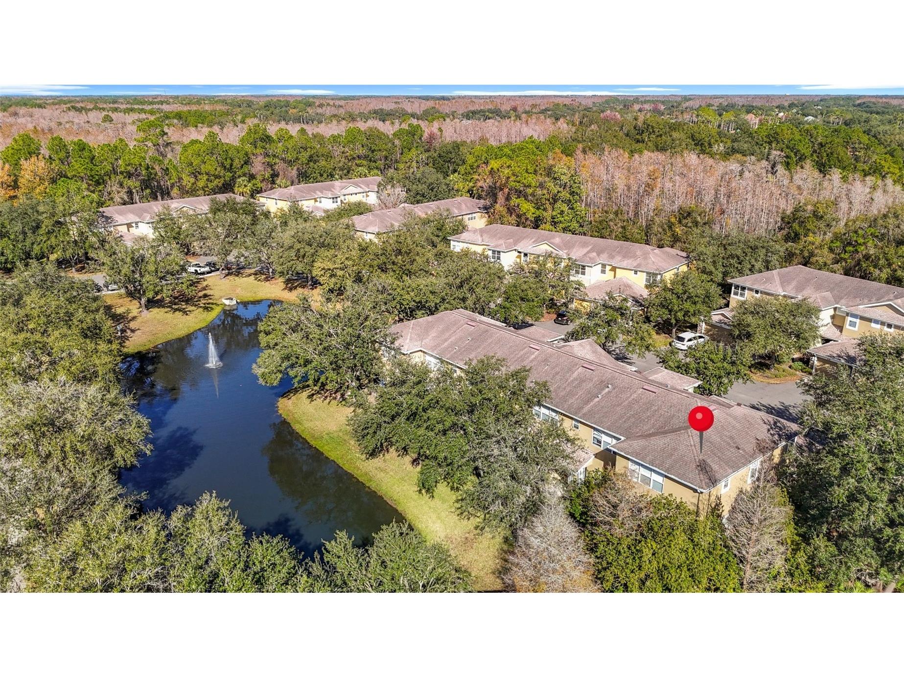 8123 Stone Path Way Tampa FL 33647 TB8439815 image53