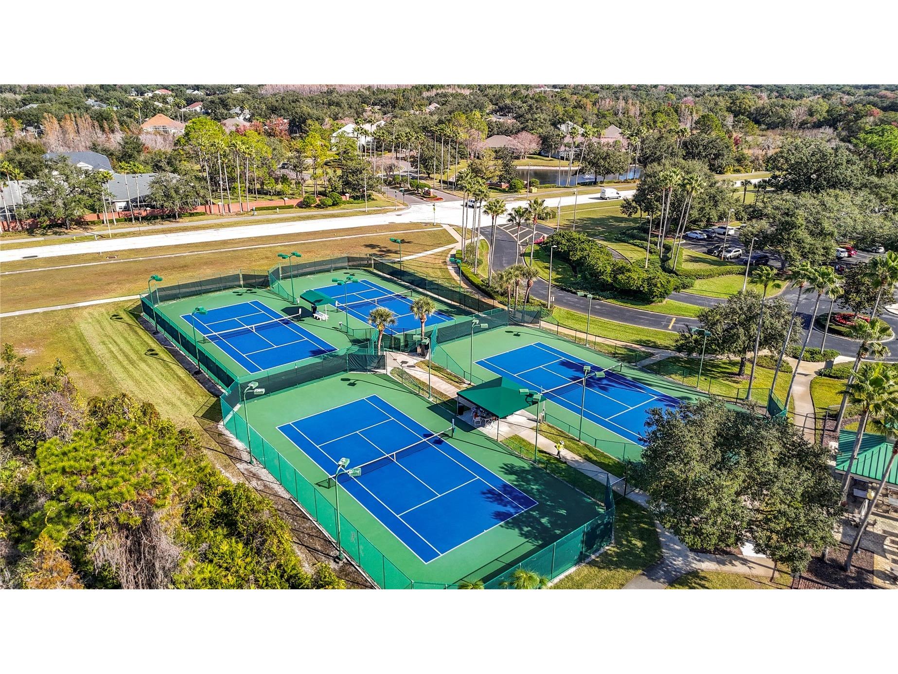 8123 Stone Path Way Tampa FL 33647 TB8439815 image54