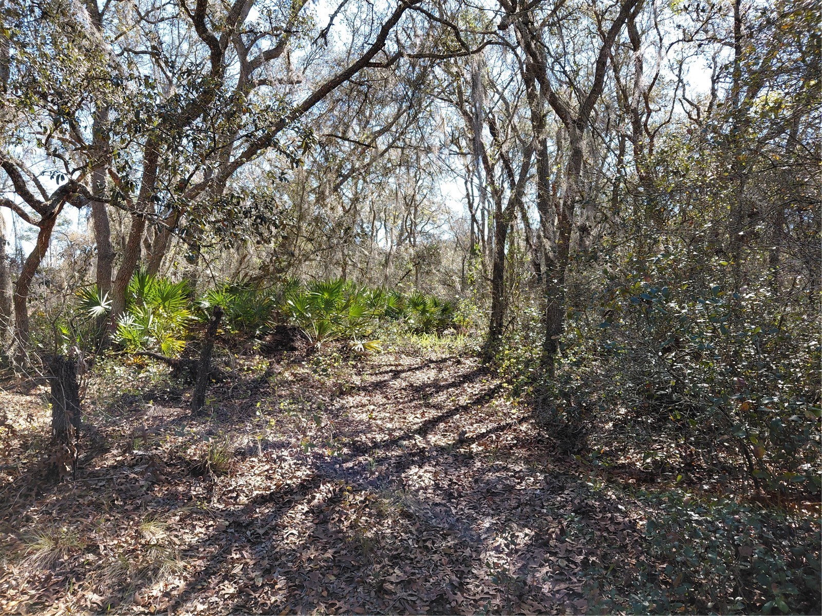 8123 Wheystone Drive Webster FL 33597 G5109742 image1