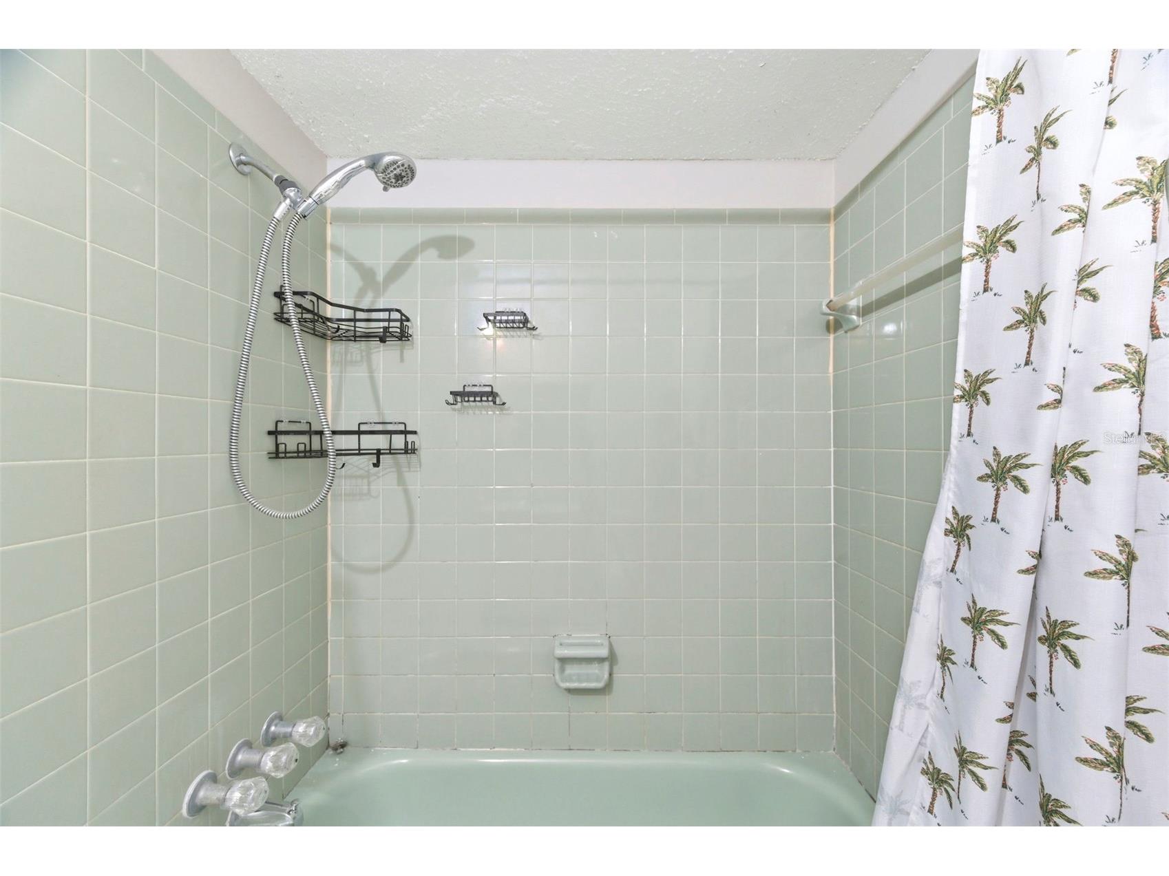 8124 Omaha Circle Spring Hill FL 34606 TB8513366 image16