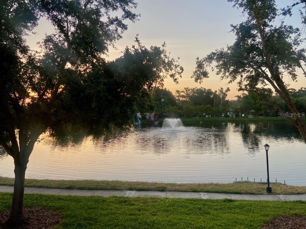 8125 112th Street #204 Seminole FL 33772 TB8447513 image1