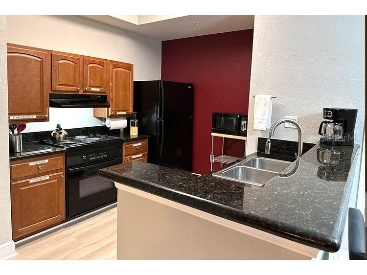 8125 Resort Village Drive #51201 Orlando FL 32821 O6306325 image10