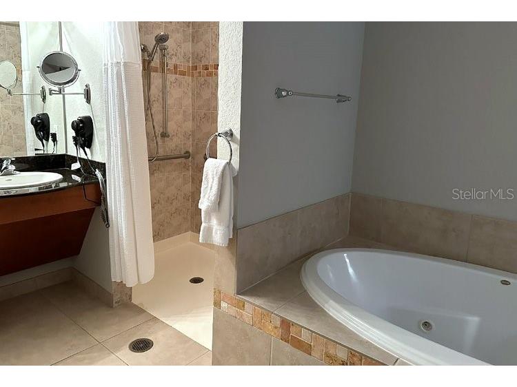 8125 Resort Village Drive #51201 Orlando FL 32821 O6306325 image15