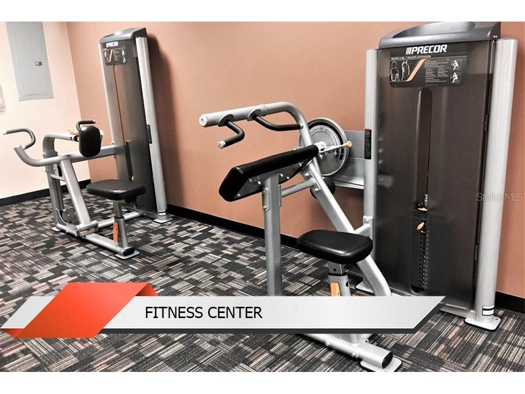 8125 Resort Village Drive #51201 Orlando FL 32821 O6306325 image46