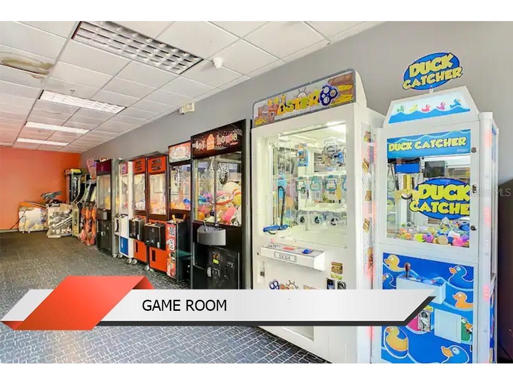 8125 Resort Village Drive #51201 Orlando FL 32821 O6306325 image49