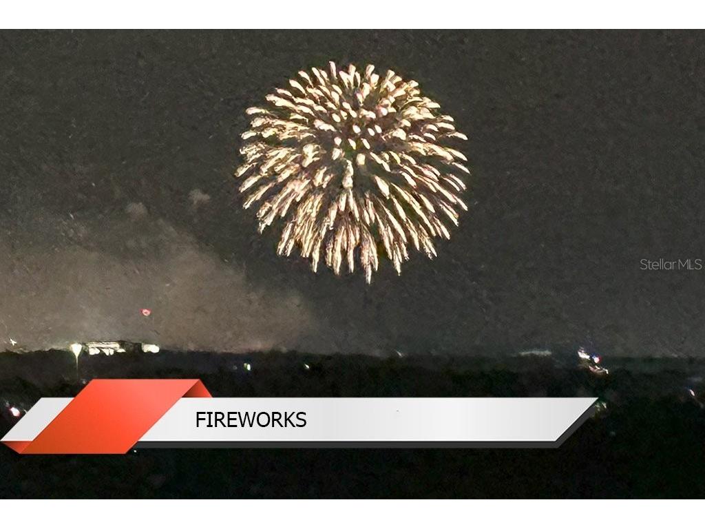 8125 Resort Village Drive #51201 Orlando FL 32821 O6306325 image58